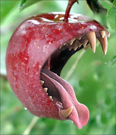 bad apple ....